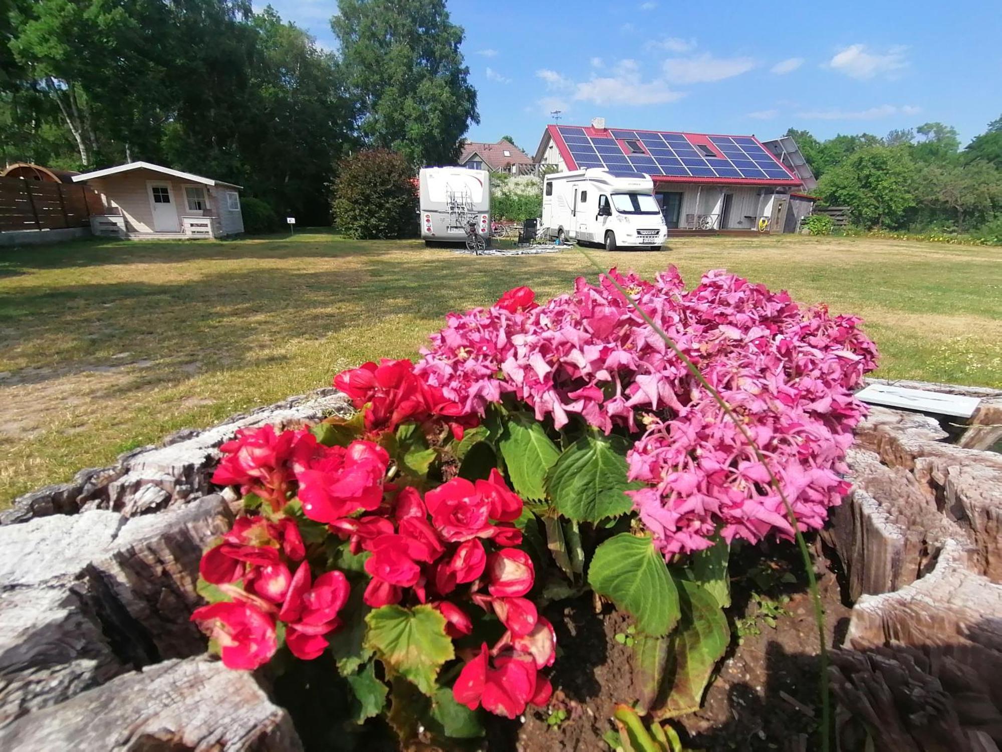 Piibelehe Guest Accommodation Kuressaare Exterior photo